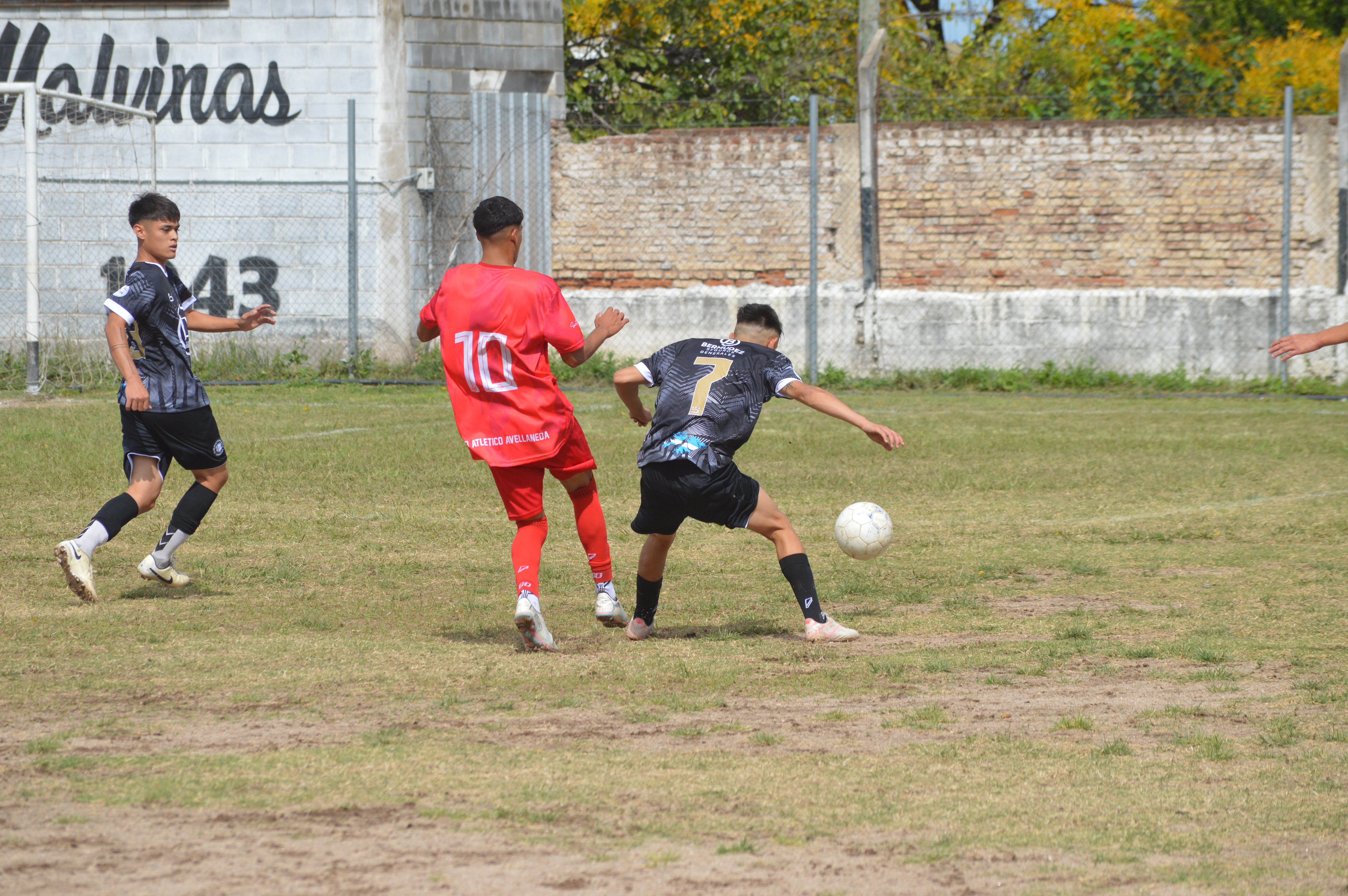 Imagen 2
